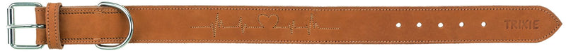 19015 Rustic fatleather collar Heartbeat, M: 38-47 cm/40 mm, brown