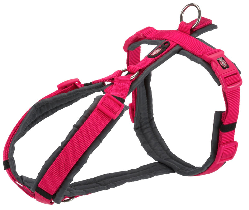 1997311 Premium trekking harness, M-L: 62-74 cm/25 mm, fuchsia/graphite