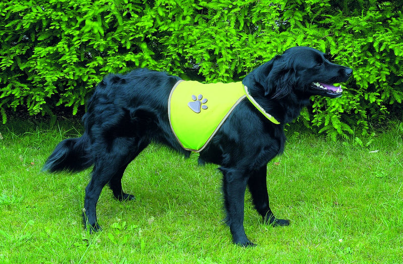 30082 Safety vest for dogs, M