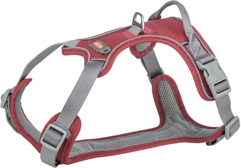 1996331 Premium active harness, M: 49-69 cm/20 mm, sangria