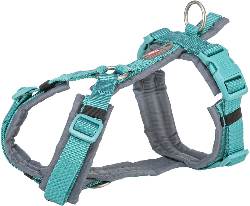 1997128 Premium trekking harness, S-M: 44-53 cm/20 mm, aqua/graphite